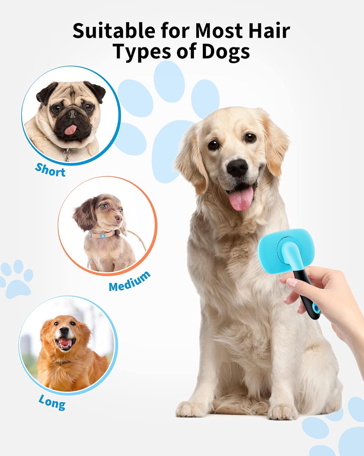 Professional Pet Nail Clipper Tool For Safe Grooming And Trimming Nails