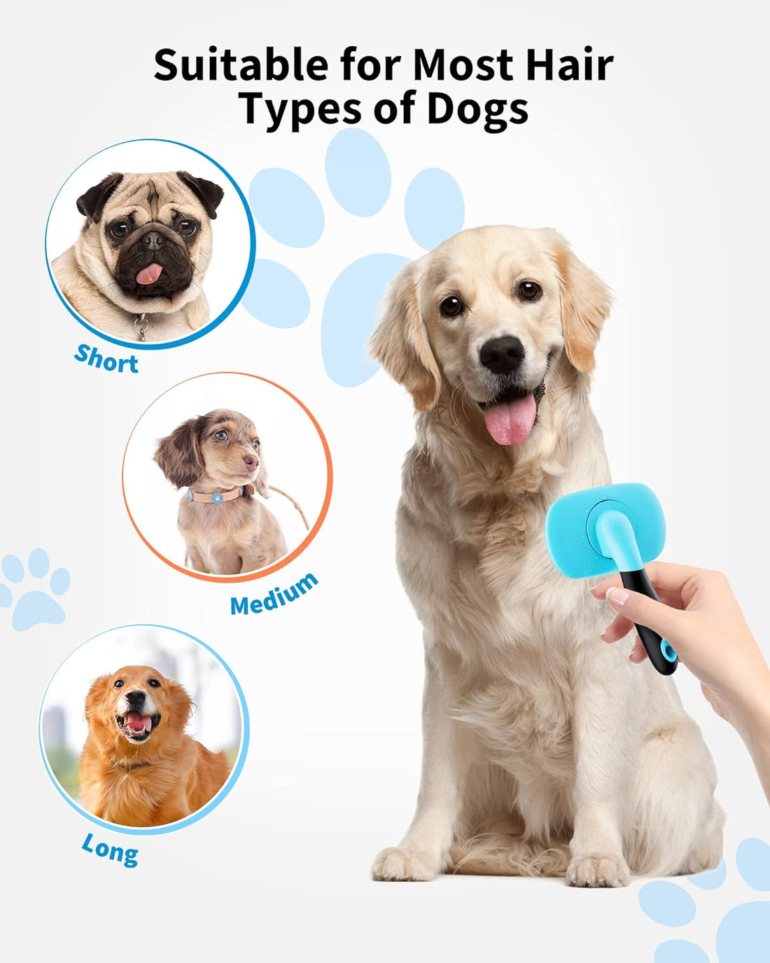 Professional Pet Nail Clipper Tool For Safe Grooming And Trimming Nails