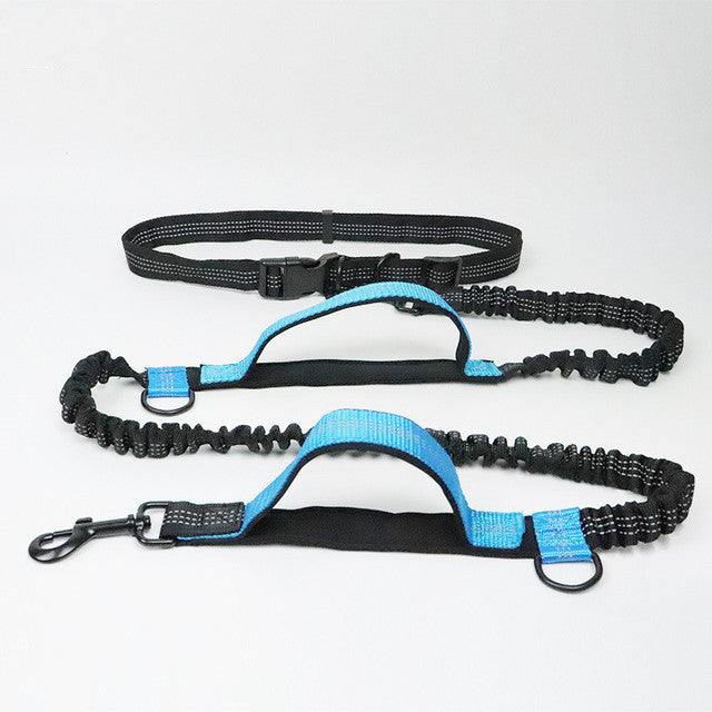 Adjustable Pet Harness Collar And Jogging Leash For Secure Walking And Training