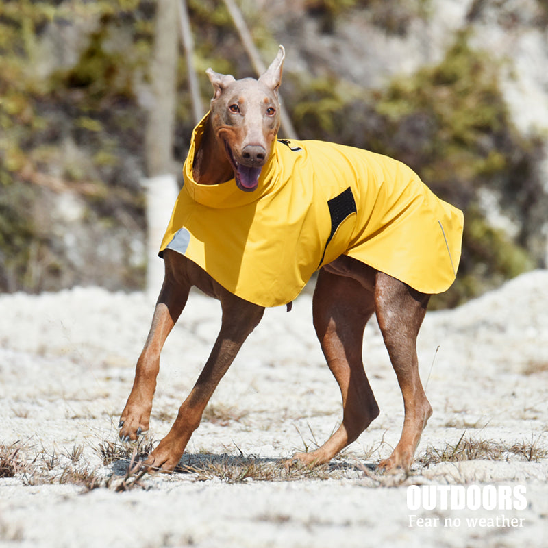Waterproof Windproof Pet Shell Jacket Raincoat For Outdoor Protection