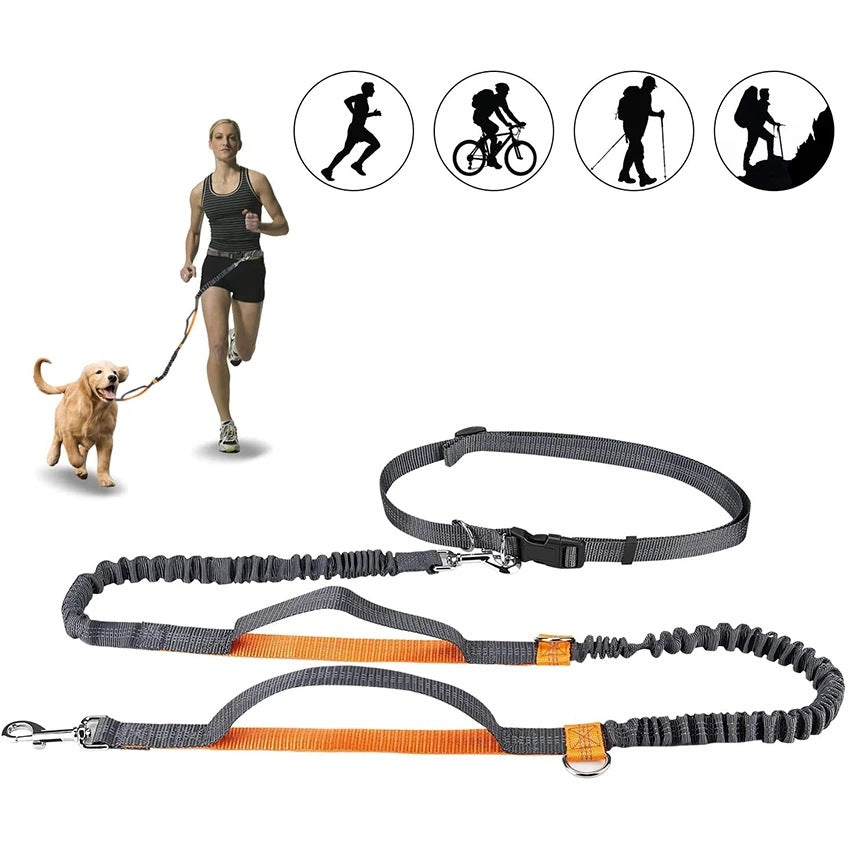 Adjustable Pet Harness Collar And Jogging Leash For Secure Walking And Training