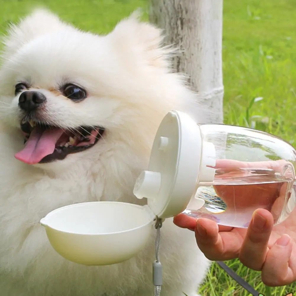 Portable Pet Water Bottle With Bowl And Lanyard Travel Use
