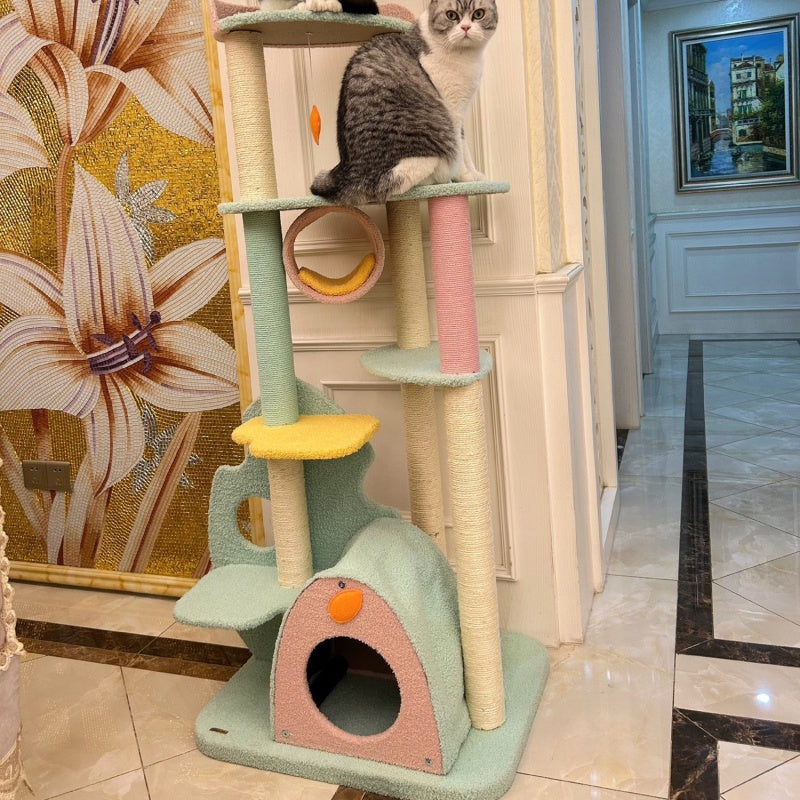 Large Pet Climbing Frame