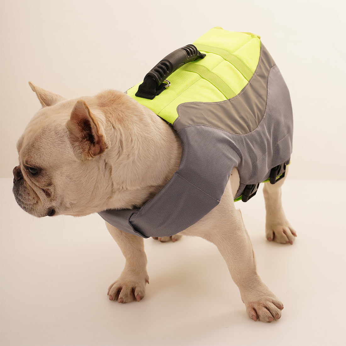 Reflective Pet Swimsuit Life Jacket For Water Safety And Visibility