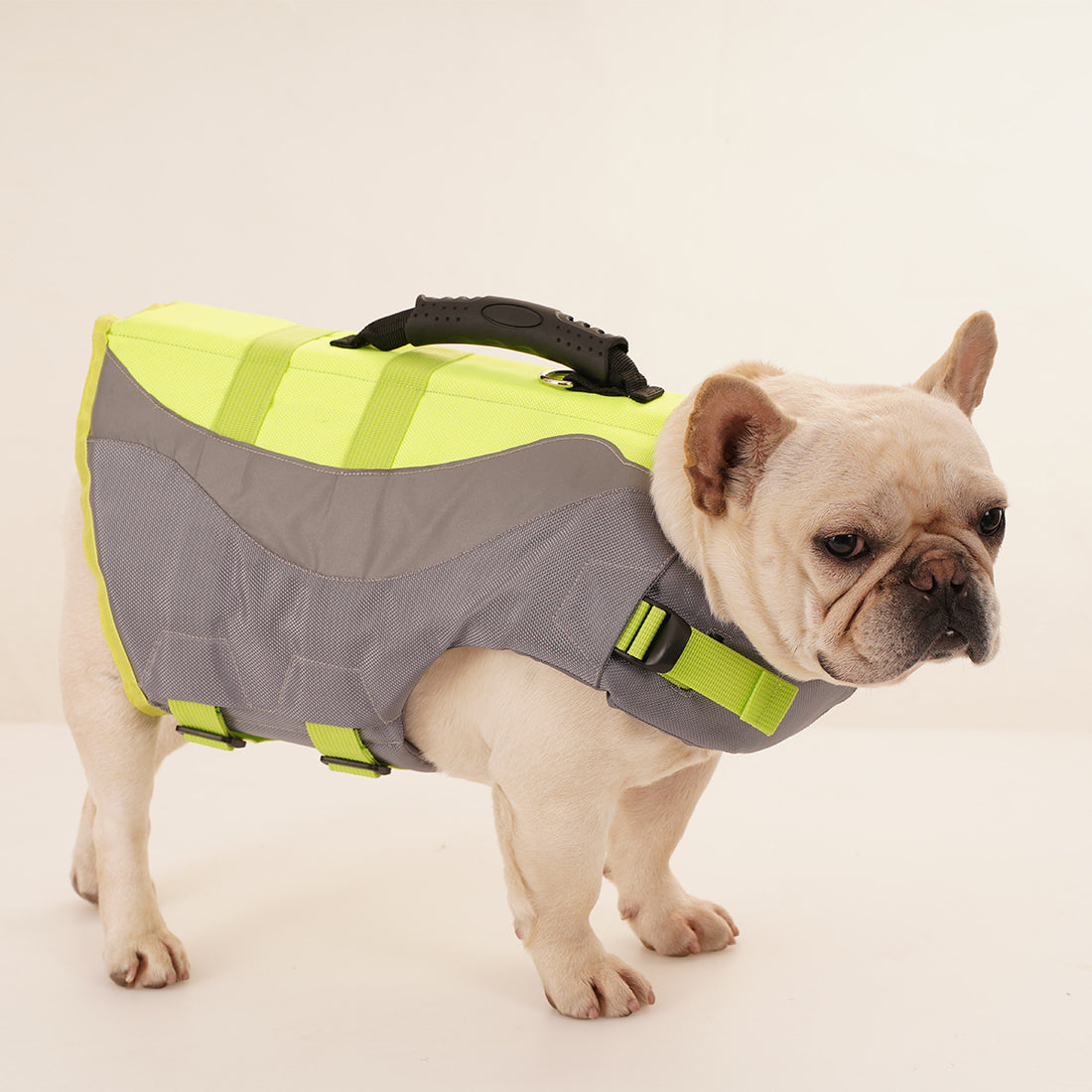 Reflective Pet Swimsuit Life Jacket For Water Safety And Visibility