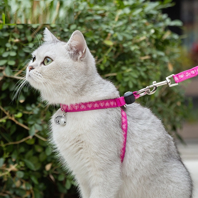 Pet Chest Strap Vest With Bell And Leash For Small Pets Walking And Control