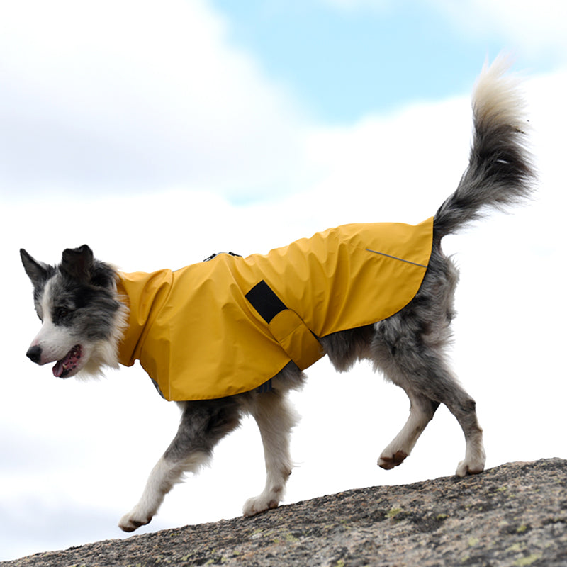 Waterproof Windproof Pet Shell Jacket Raincoat For Outdoor Protection