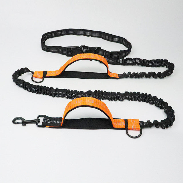 Adjustable Pet Harness Collar And Jogging Leash For Secure Walking And Training